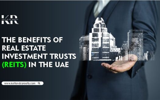 Real Estate Investment Trusts (REITs) in the UAE