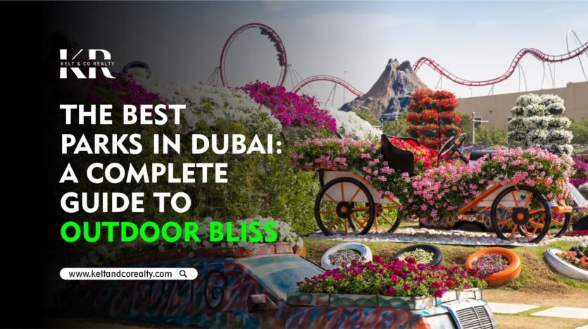 The Best Parks in Dubai A Complete Guide to Outdoor